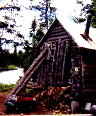 Bear-proof log cabin
