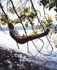 Wiltse's hammock