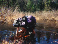 Fording the Yellow Dog River