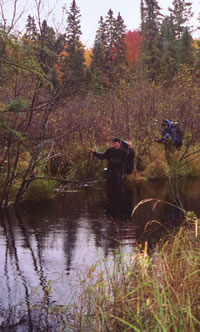 Aaron Cliff and Jane Beckwith work their way across the East Branch of the Yellow Dog River