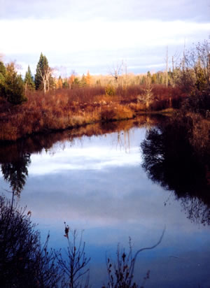 North Branch Carp River